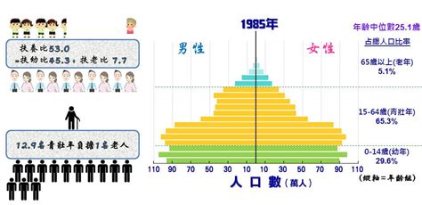 人口比例三角圖|人口金字塔